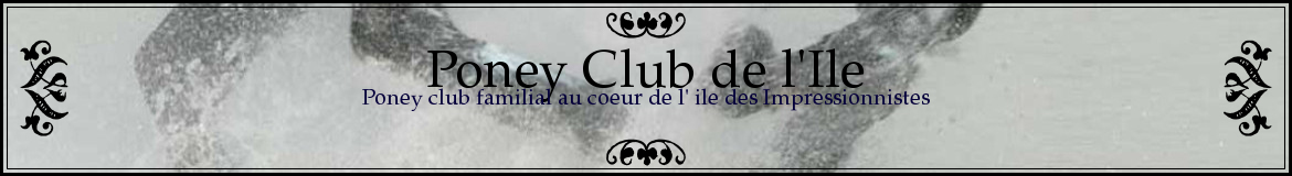 Poney Club de l'Ile